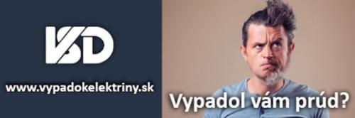 logo VSD